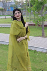 Olive Orchid – Timeless Elegance