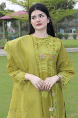 Olive Orchid – Timeless Elegance