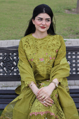 Olive Orchid – Timeless Elegance