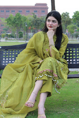 Olive Orchid – Timeless Elegance