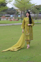 Olive Orchid – Timeless Elegance