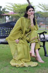 Olive Orchid – Timeless Elegance