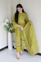 Olive Orchid – Timeless Elegance