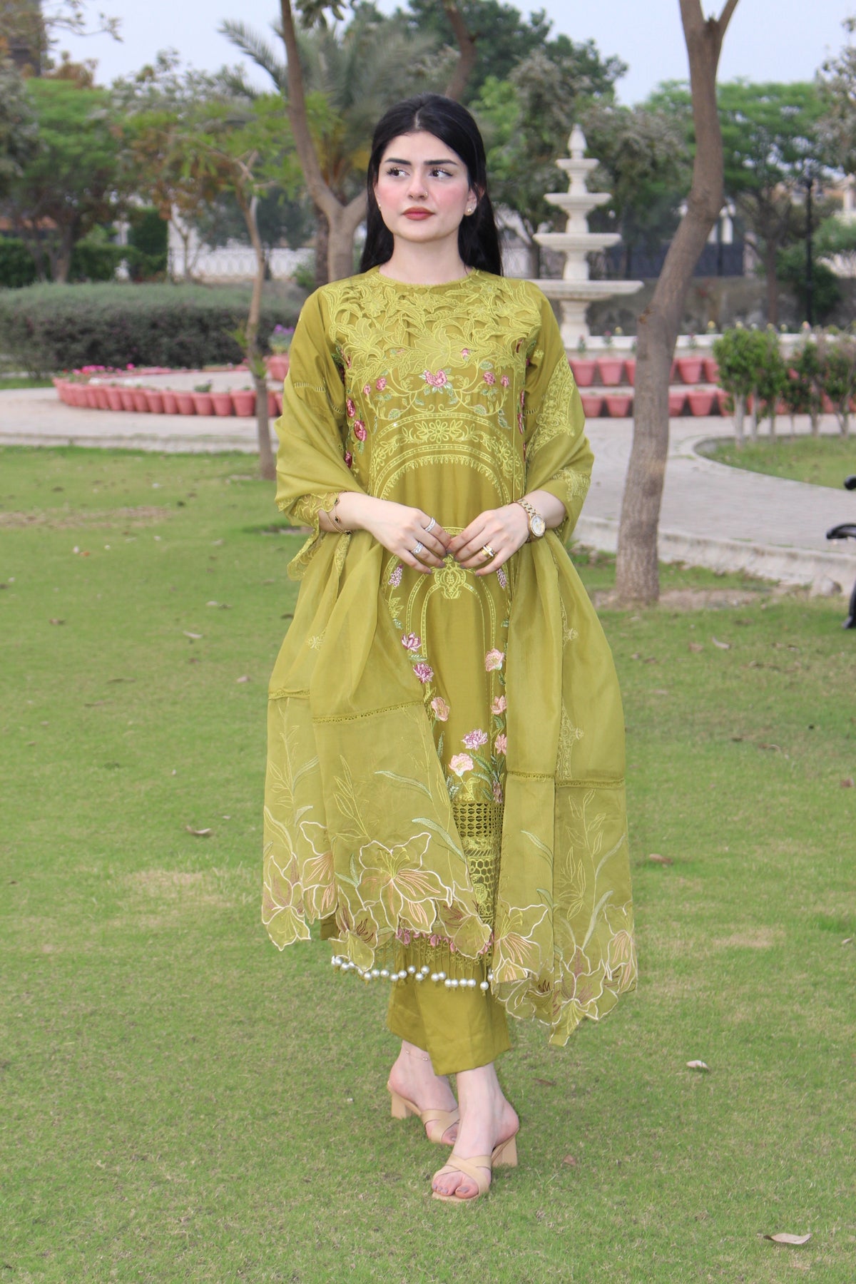 Olive Orchid – Timeless Elegance